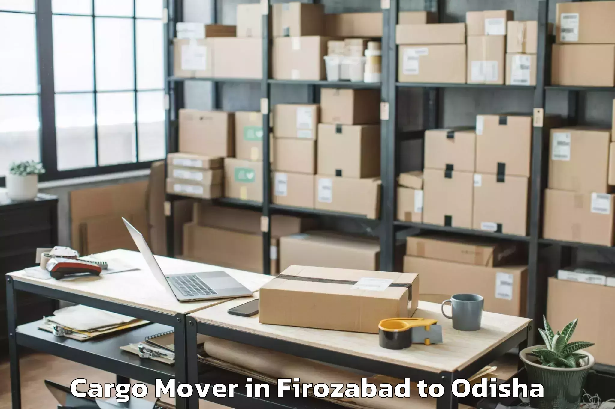 Top Firozabad to Mudulipada Cargo Mover Available